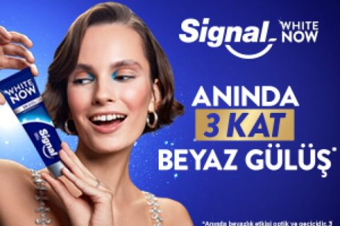 Signal