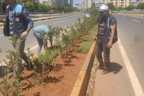 Nizip Belediyesi Park ve Bahçeler Müdürlüğüne bağlı ekipler, yeşil alanlarda bakım ve