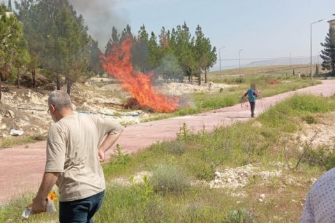 Kampüs Ormanı’nda denetimli serbestlik yükümlüleri çevre temizliği yaptı