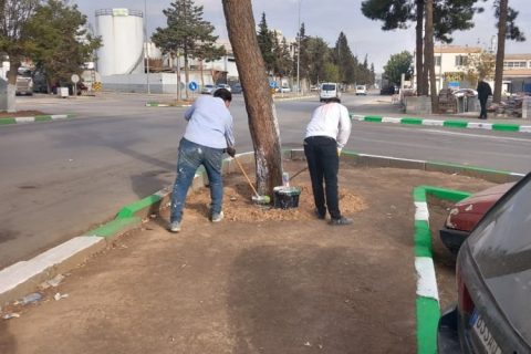 Nizip Sanayi Sitesi’nde Yeşil-Beyaz Dönüşüm: Kaldırım Refüjleri Yenileniyor