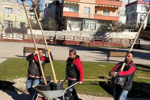Nizip'te ekipler daha yeşil bir ilçe için sahada