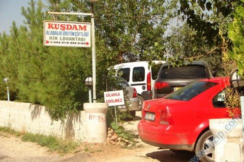 Kuşdam Alabalık çiftliği ve piknik yeri