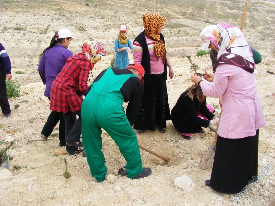 Binlerce Ağaç Diktik.