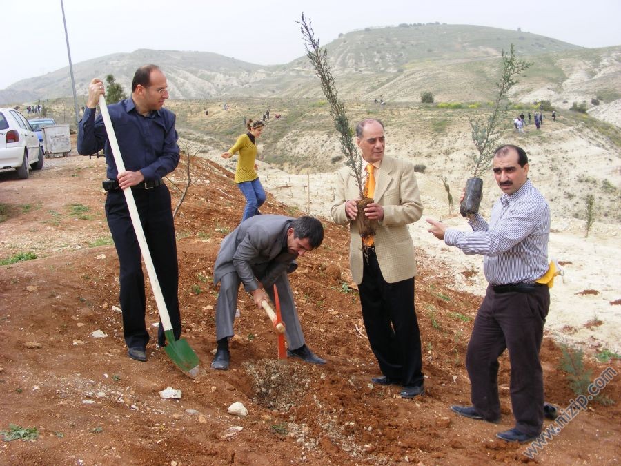 Binlerce Ağaç Diktik.