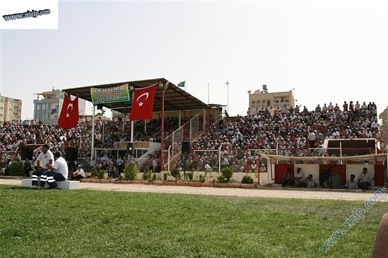 Aba güreşi 