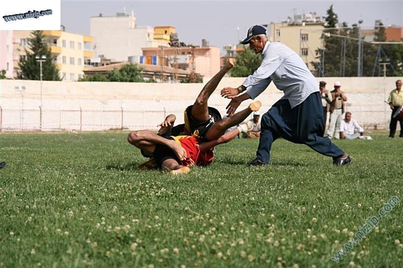 Aba güreşi 