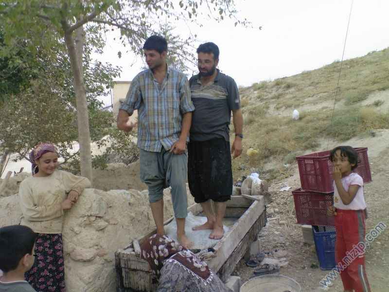 barakbeyi 