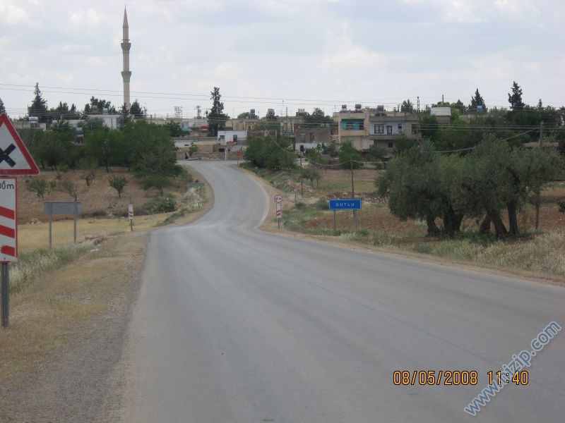 dutlu(torumahmut) 1 