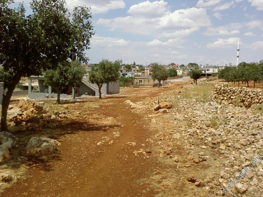 deremiz 