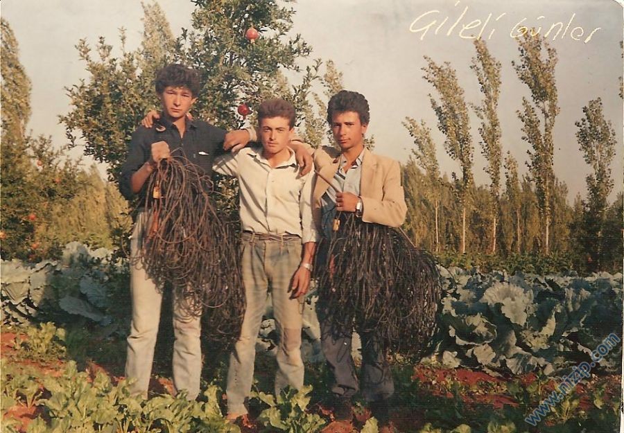 Sismik günleri 