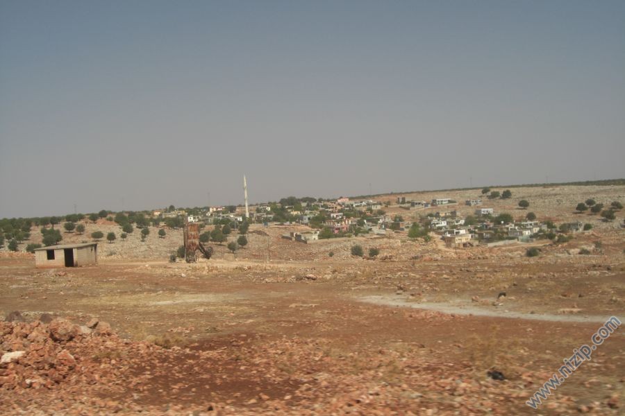 kayalar muskuruk 