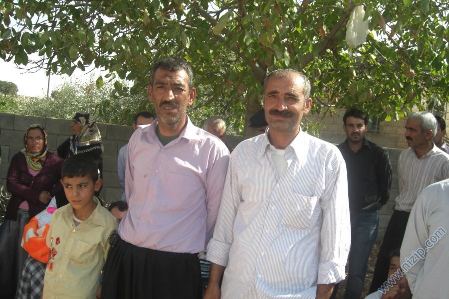balli habib 