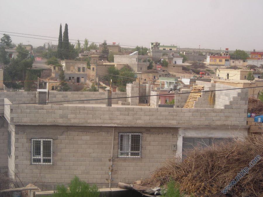12798-DSCN3683 