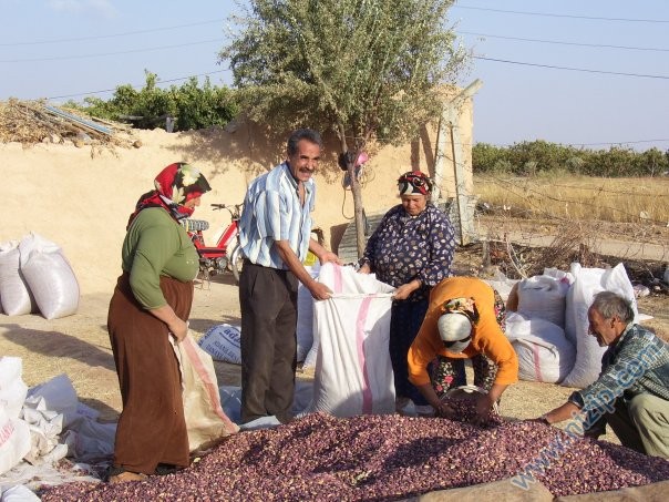 hülmen köyünden bir görüntü 2 