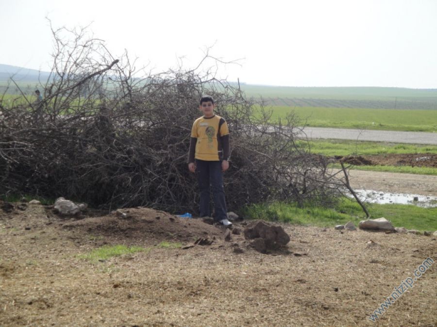 13841-DSC00948 