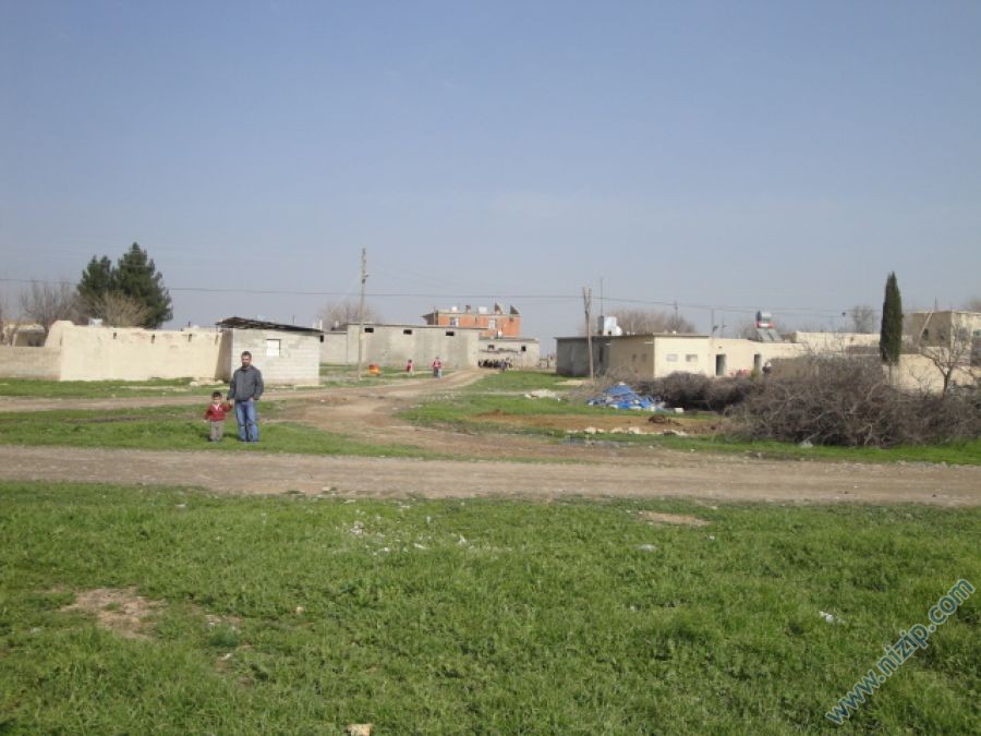 13841-DSC00954 