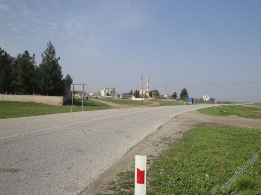 13841-DSC00955 