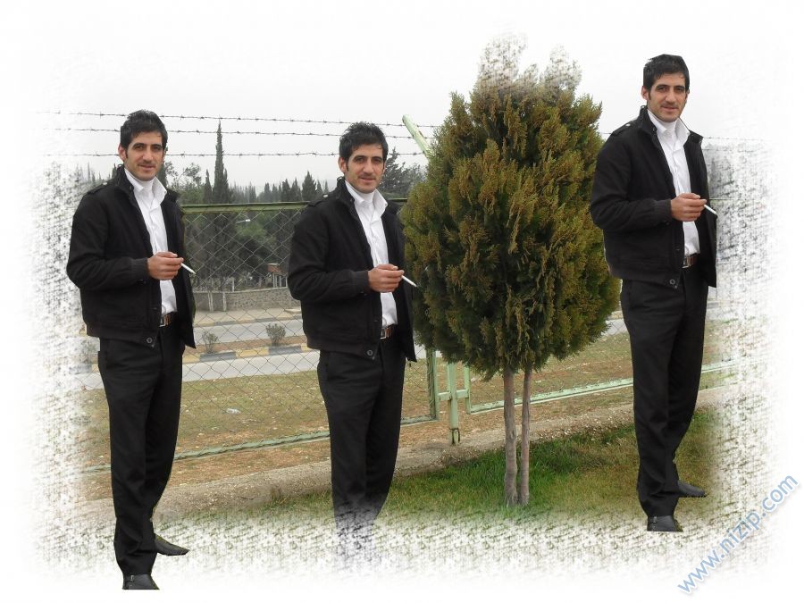 talip 