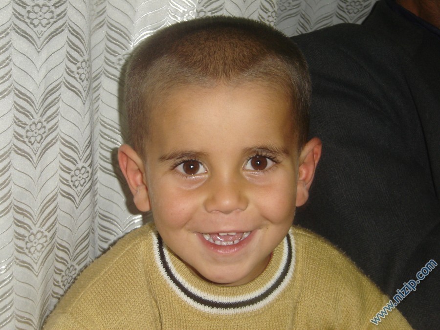 şahin 
