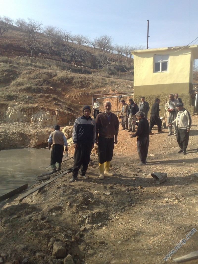 pınar 