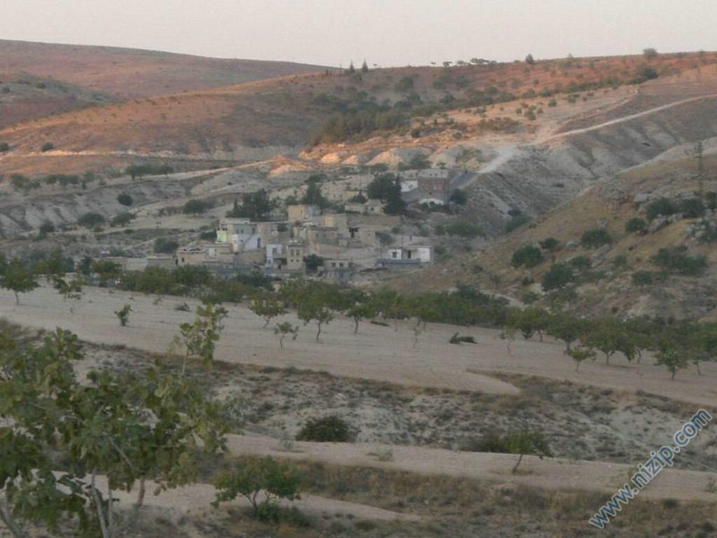 Söğütlü_2 