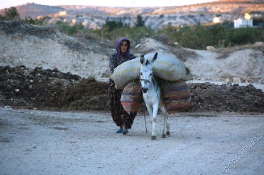 lütfuya bacı- akçakent __9765__Foto