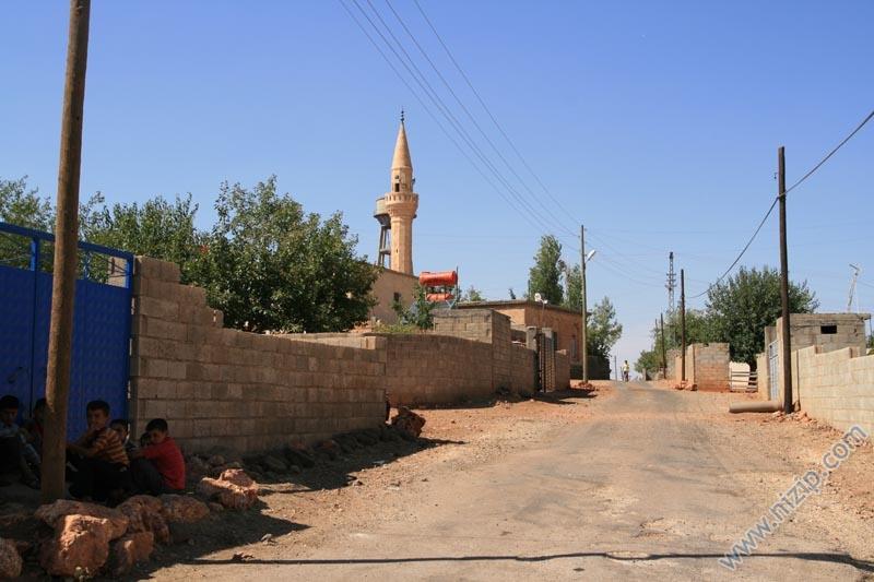 BÜYÜK ALAHACI 