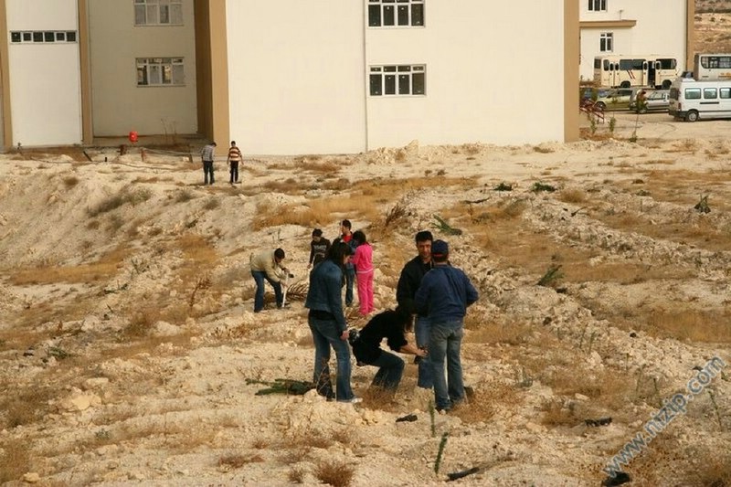 2007 yılı Yüksek okul bölgesi fidan dikimi... 