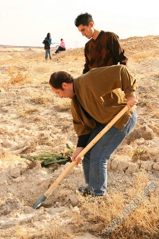 2007 yılı Yüksek okul bölgesi fidan dikimi 