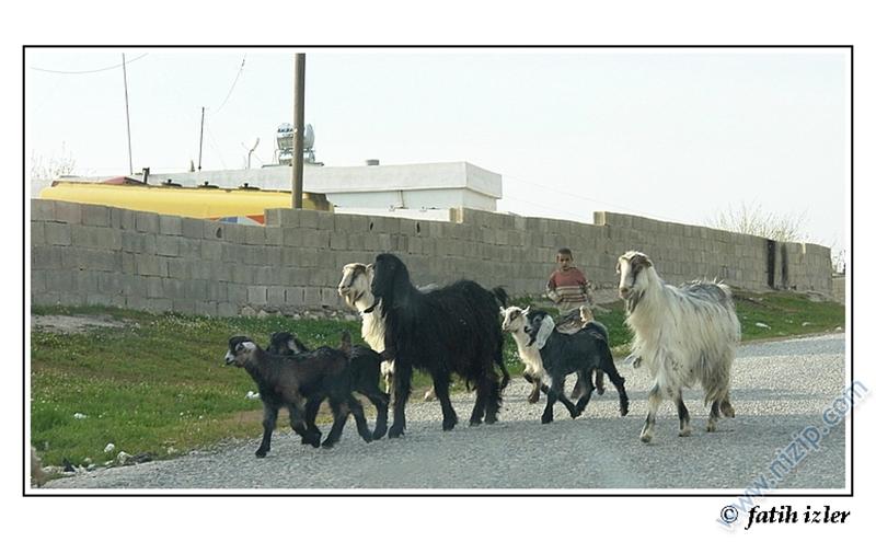 Çocuk Heryerde Her Zaman Çocuk... 