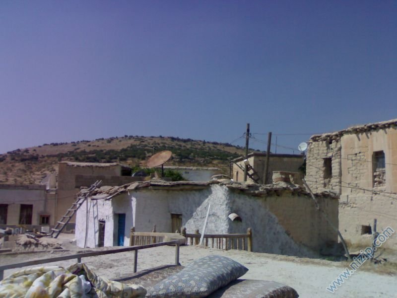 zergil 