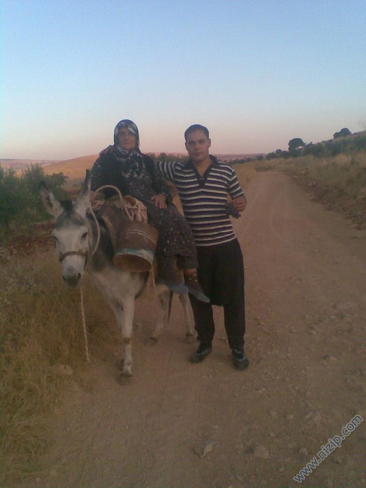 kemal sarı 