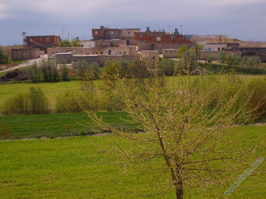 DANAOĞLU KÖYÜ(İNTEPE KÖYÜ) 