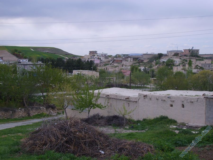 DANAOĞLU KÖYÜ(İNTEPE KÖYÜ) 