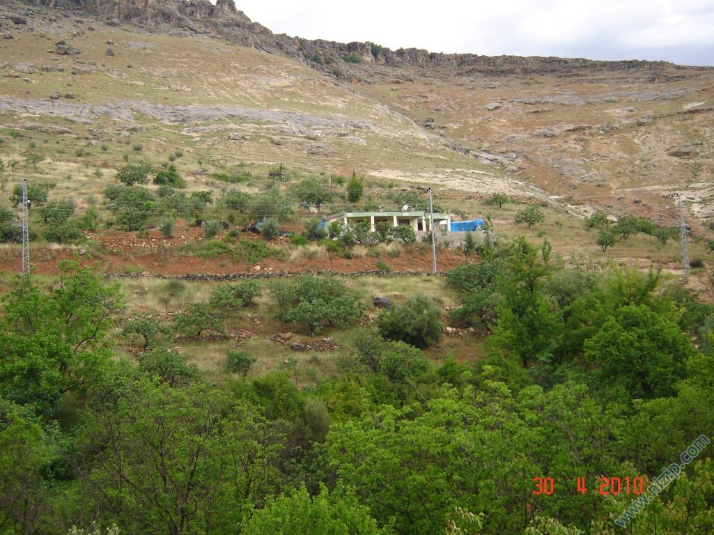 kuşdam 