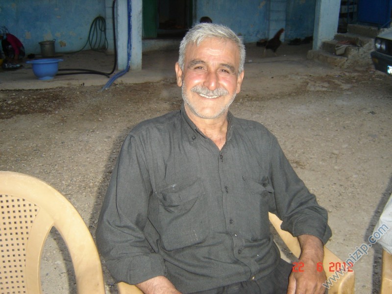 haydo 