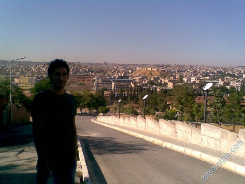 talip kaya 