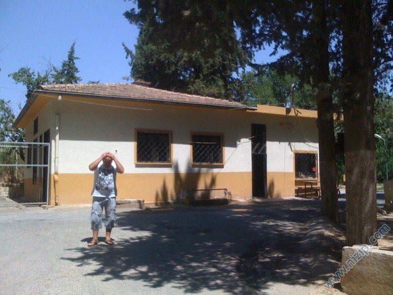 IMG_0537 IMG_0537