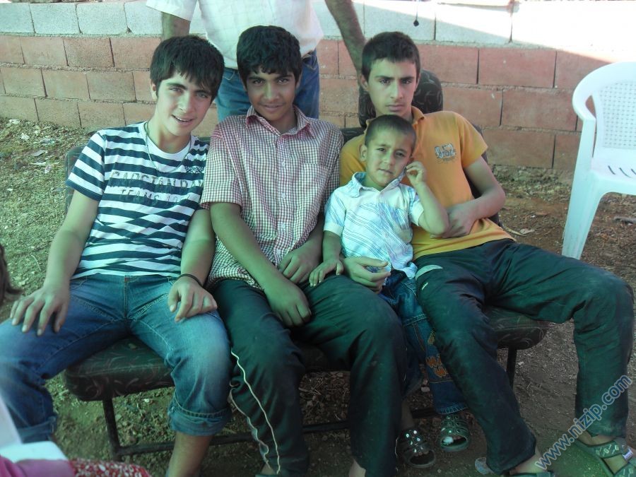 Aslan Yegenlerim 