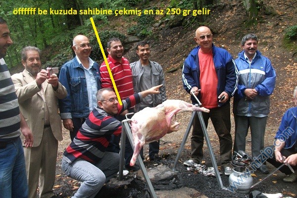 kuzu3 kuzu3