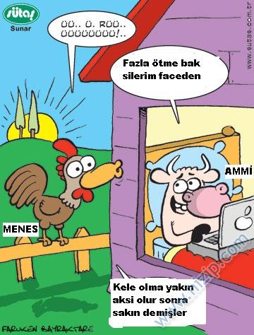 Sütaş karikatürleri Nizip.com'da Olursa.
