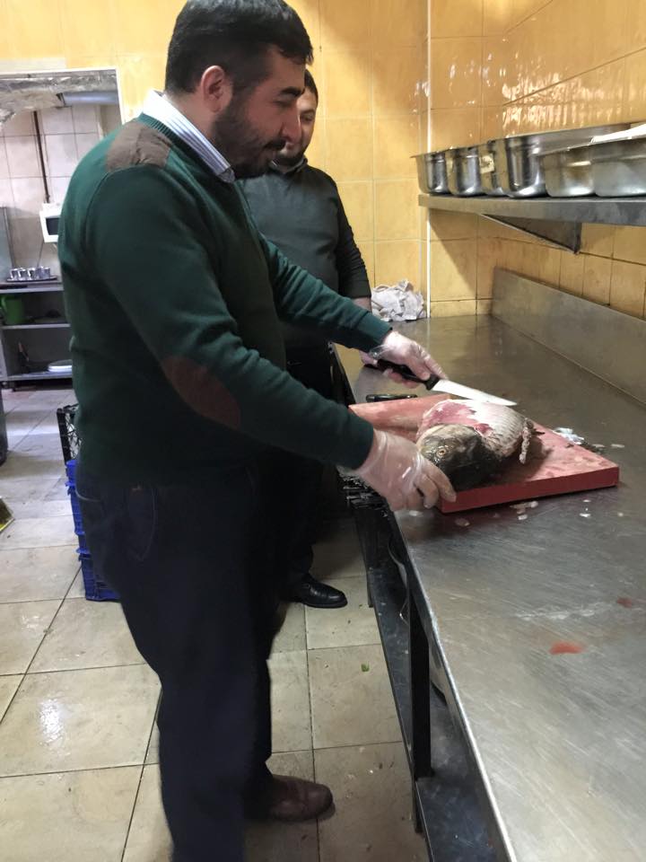 2015 Kuzu tapelerini yayınlıyoruz 2015 Kuzu tapelerini yayınlıyoruz