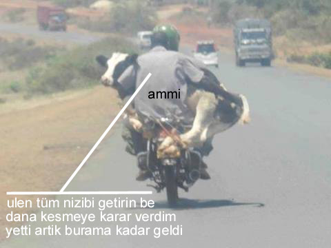 Müslüm babamın seçim kuzusu platformu  2014 YILI
