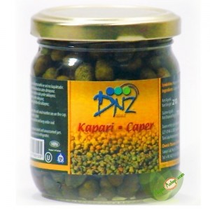Kapari keber Capari Bitkisi Capparis ovata Capparaceae CAPER