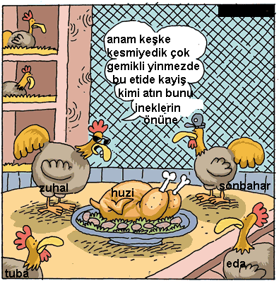 Nizipli Hanımlar Burada