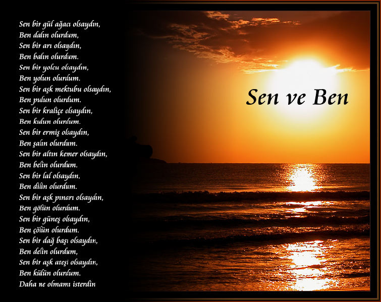 ŞİİR SEVER NİZİPLİLER BURAYA...