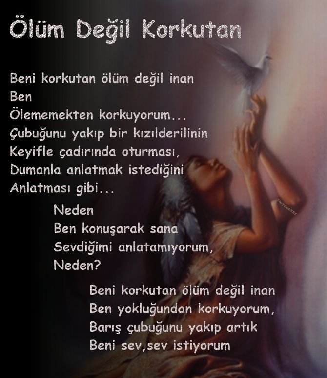 ŞİİR SEVER NİZİPLİLER BURAYA...