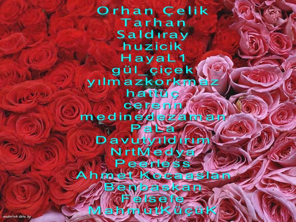 3 Gül --> 3 Üye 3 Gül --> 3 Üye