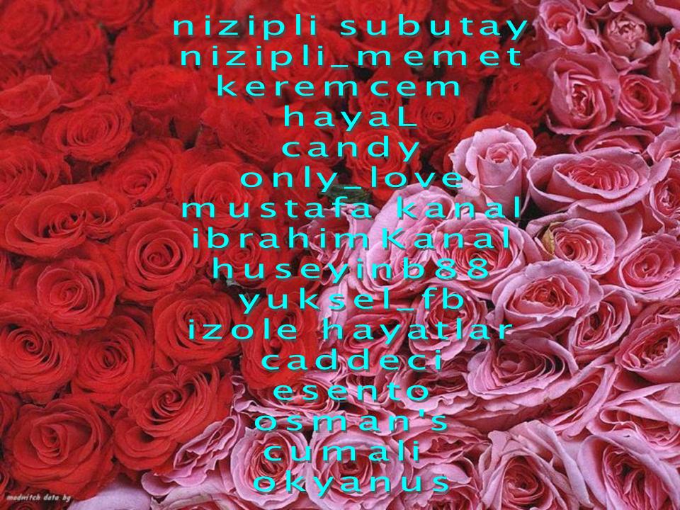 3 Gül --> 3 Üye 3 Gül --> 3 Üye