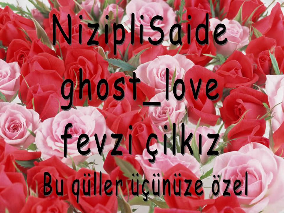 3 Gül --> 3 Üye 3 Gül --> 3 Üye